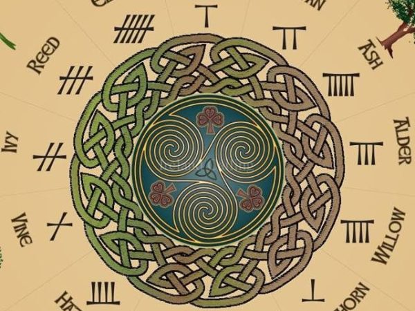 The Celtic Tree Calendar: A Guide to the 13 Lunar Trees & How I Follow the&nbsp;Wheel